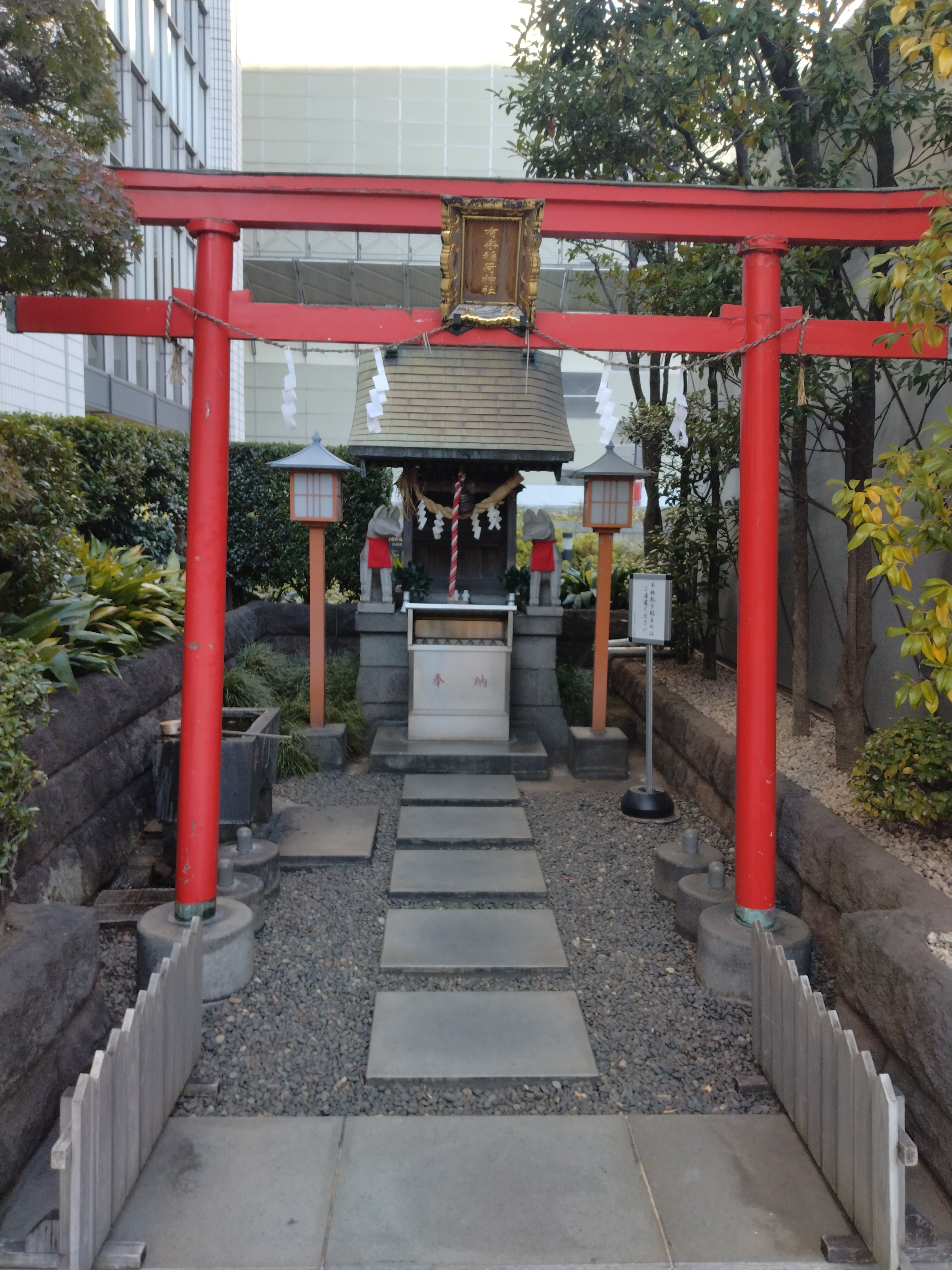 白線が大きく写る横断歩道の近景です。