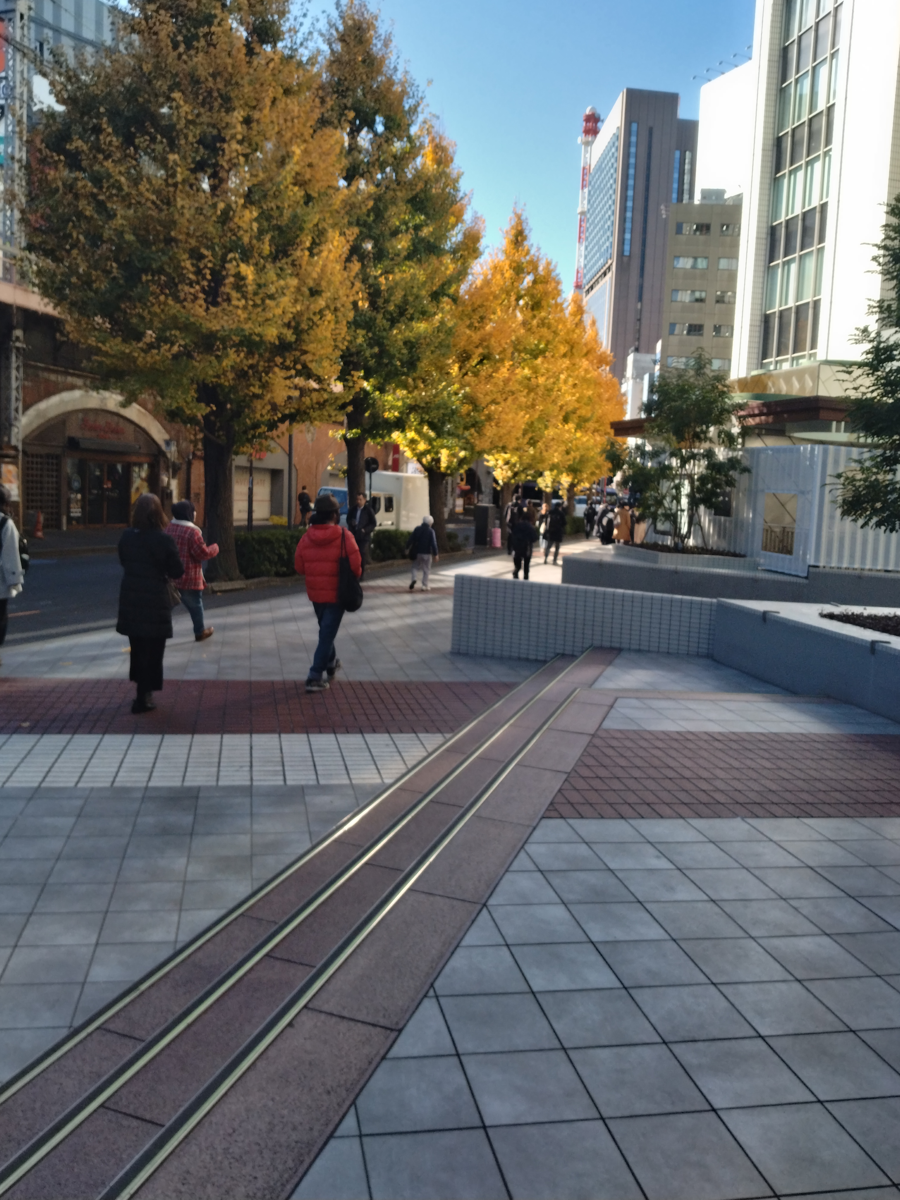 高層ビルを背景に幅のある車道が写っています。