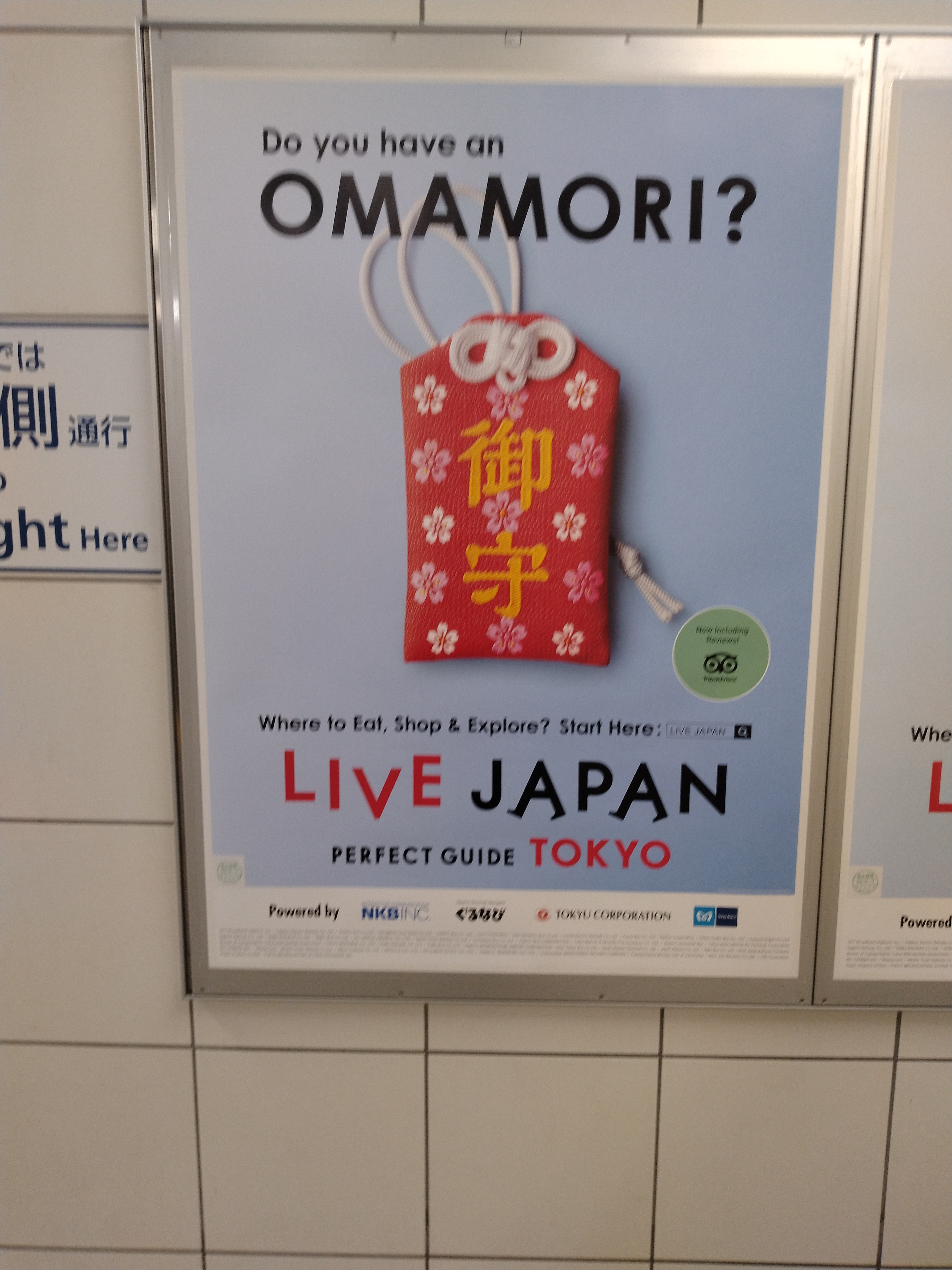 明るい床面と歩行スペースの別アングルです。