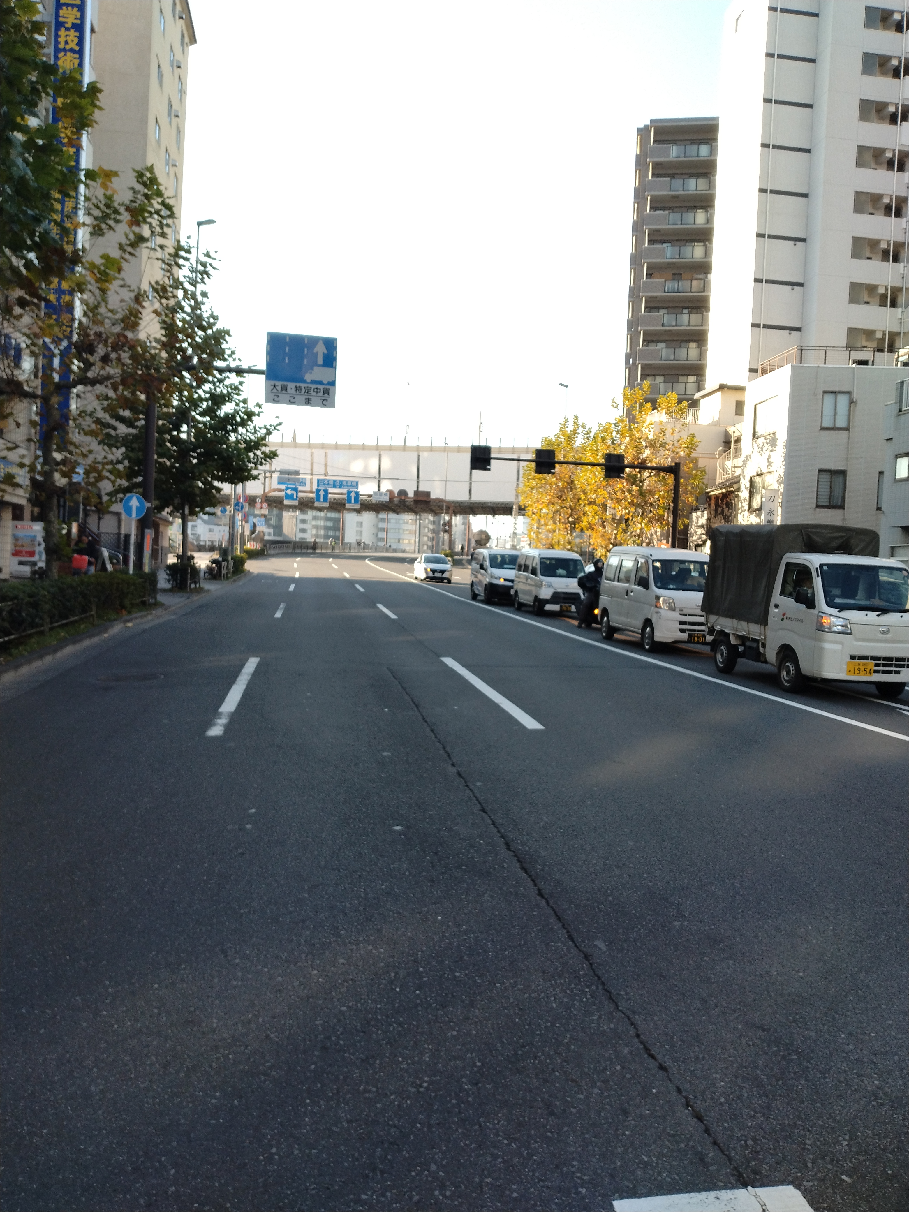 木々が植えられた駅前道路