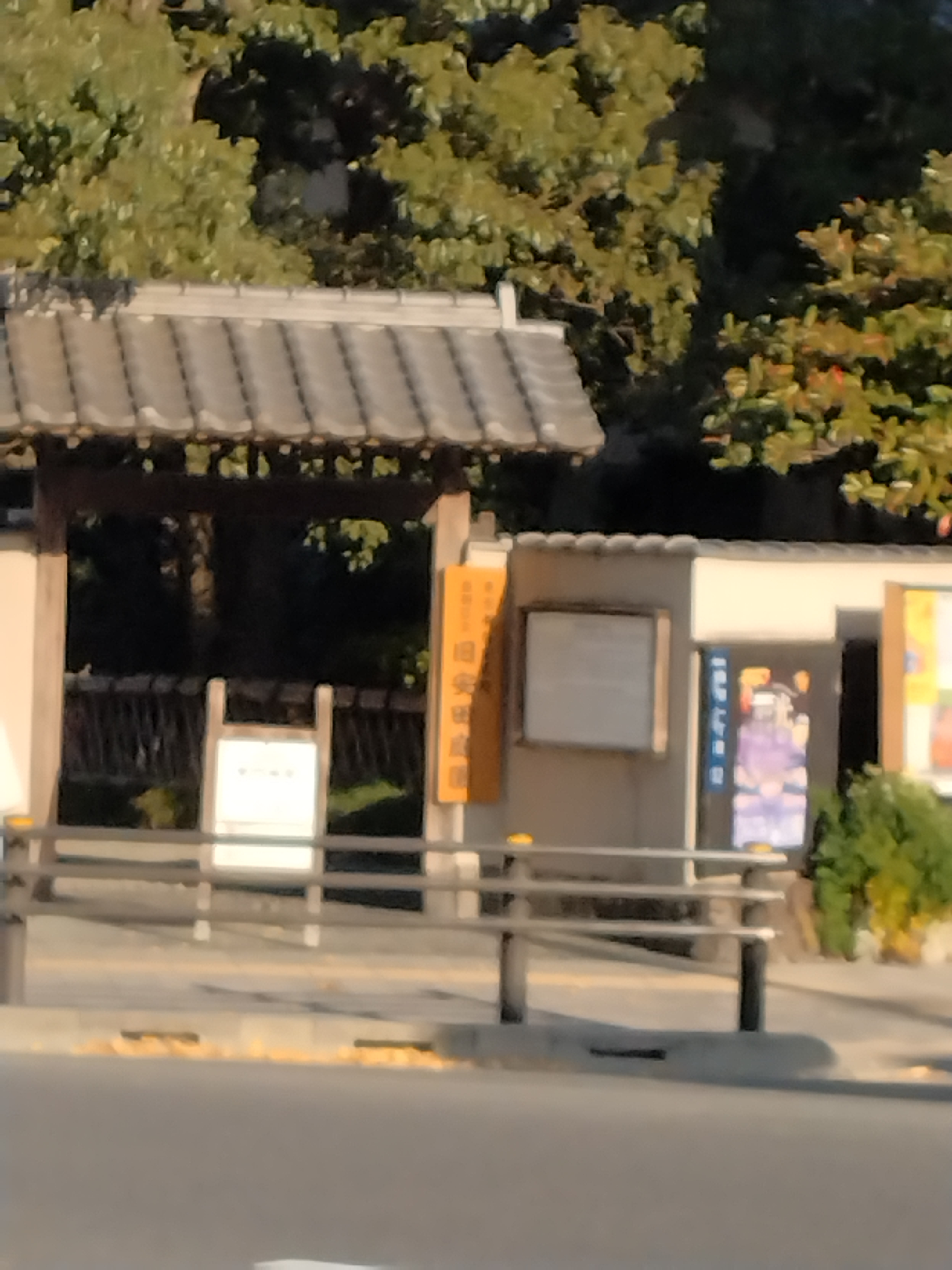 庭園外周の植栽と通路