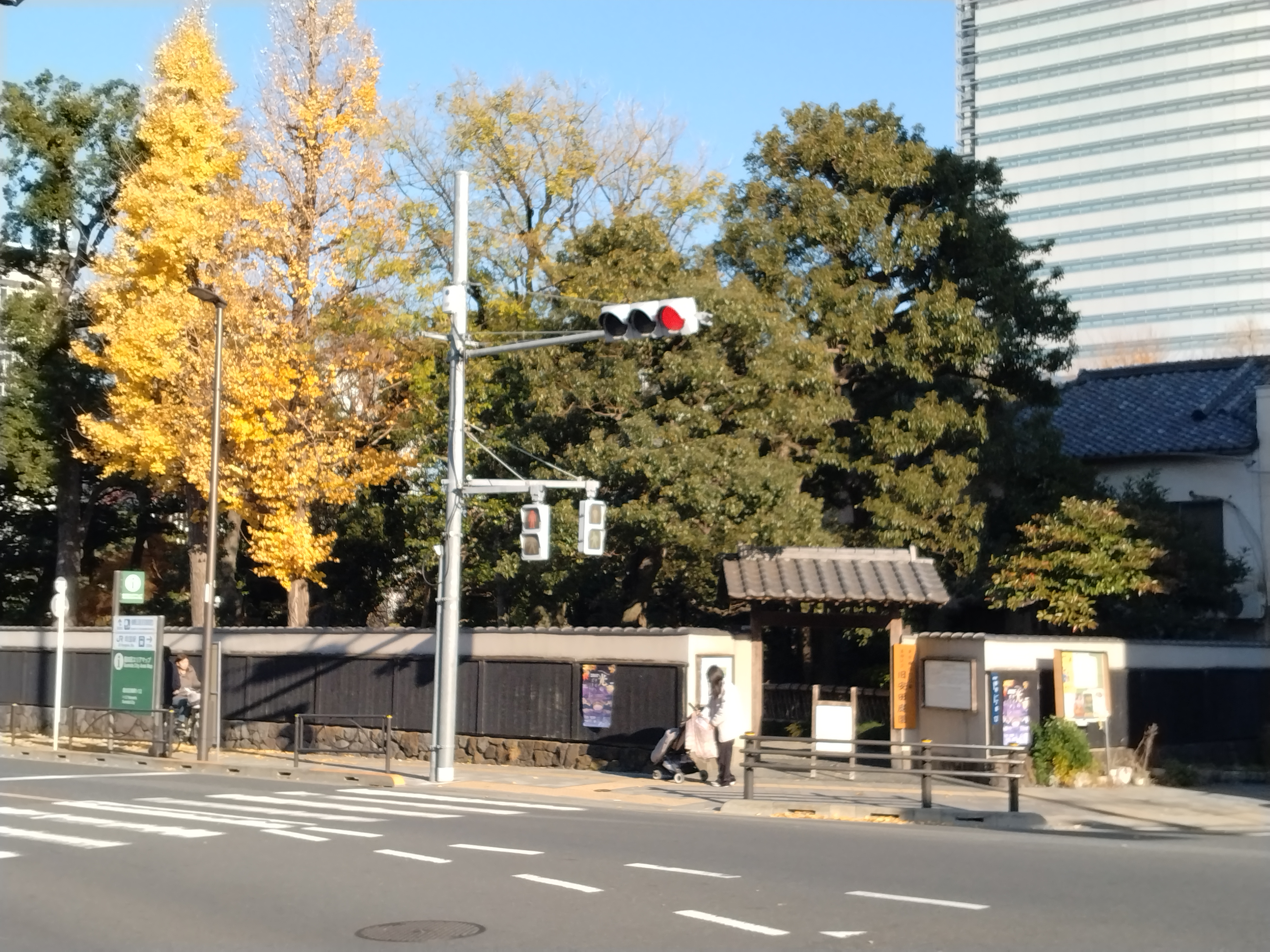 建物と木々が並ぶ空間