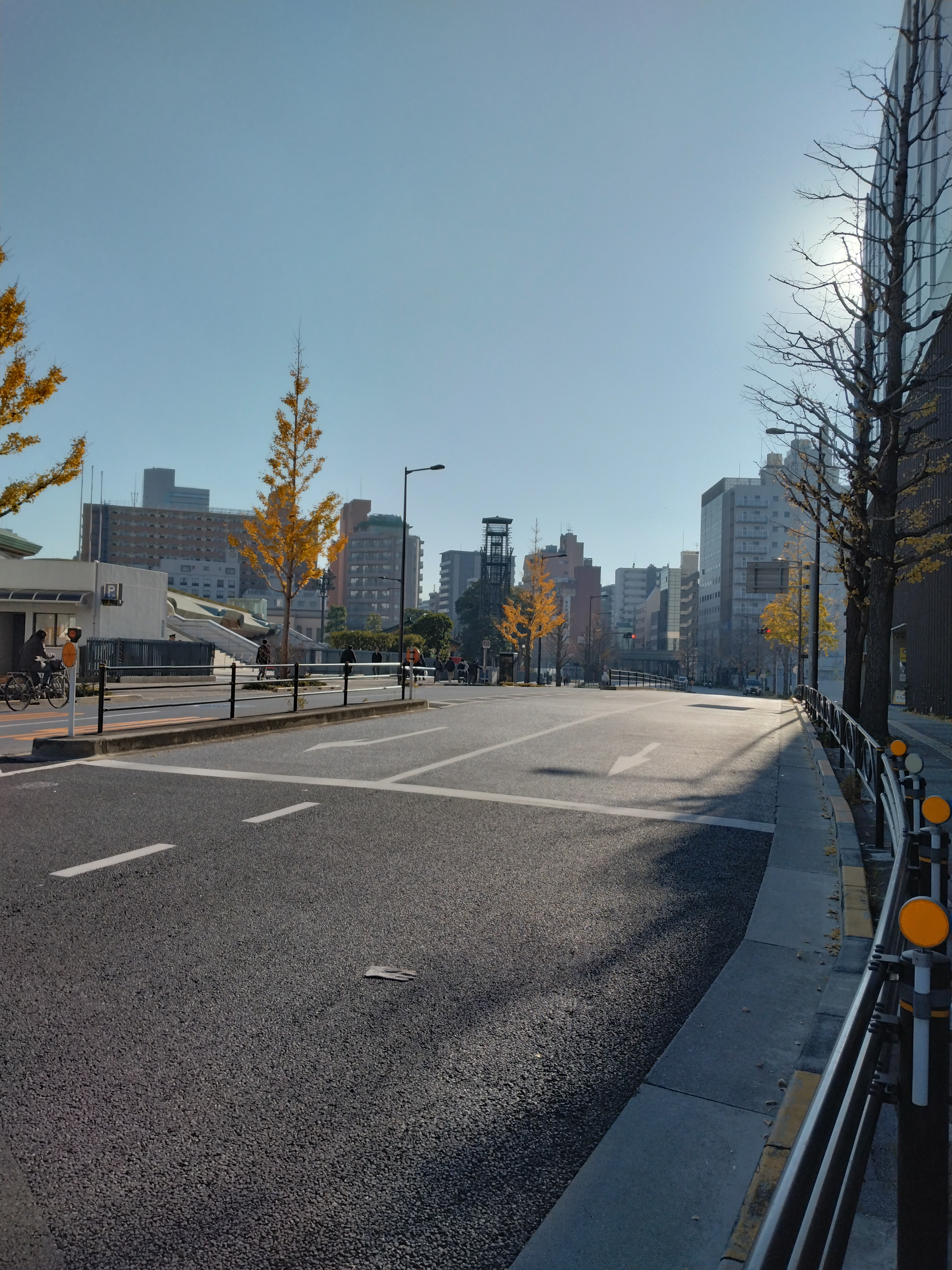 ビルと並木が続く大きな通り