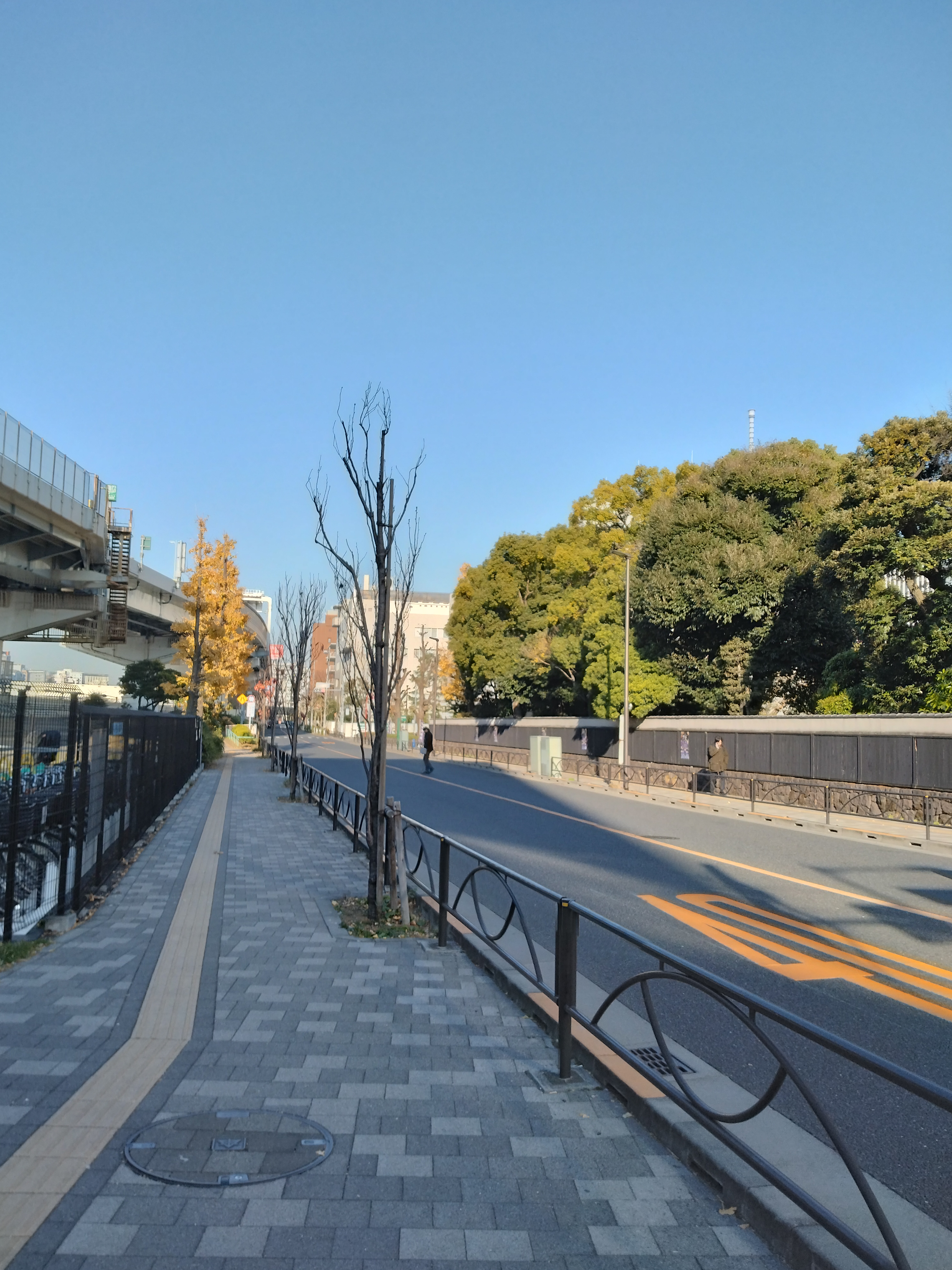 庭園沿いの静かな通り