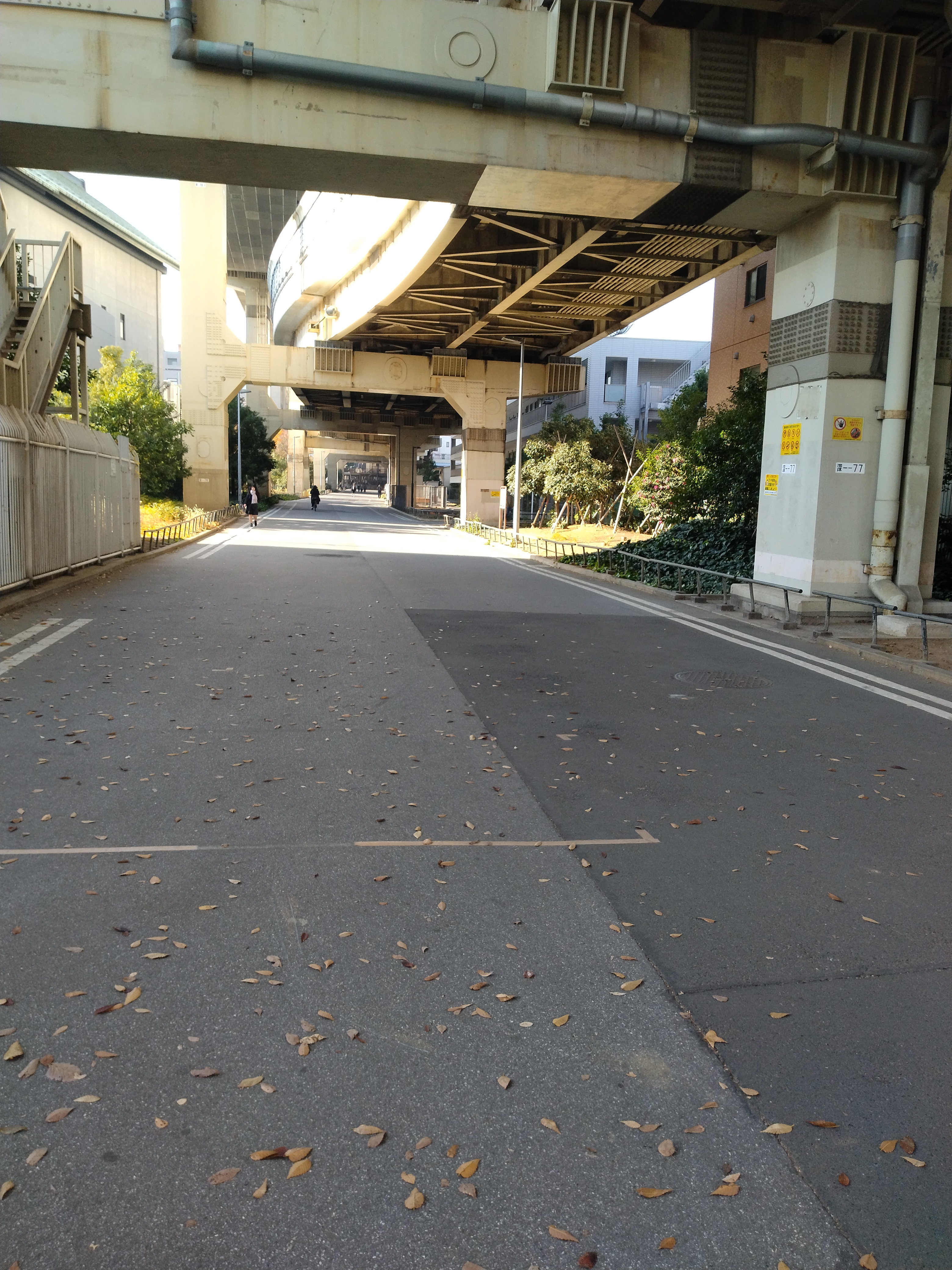 寺院近くの静かな道