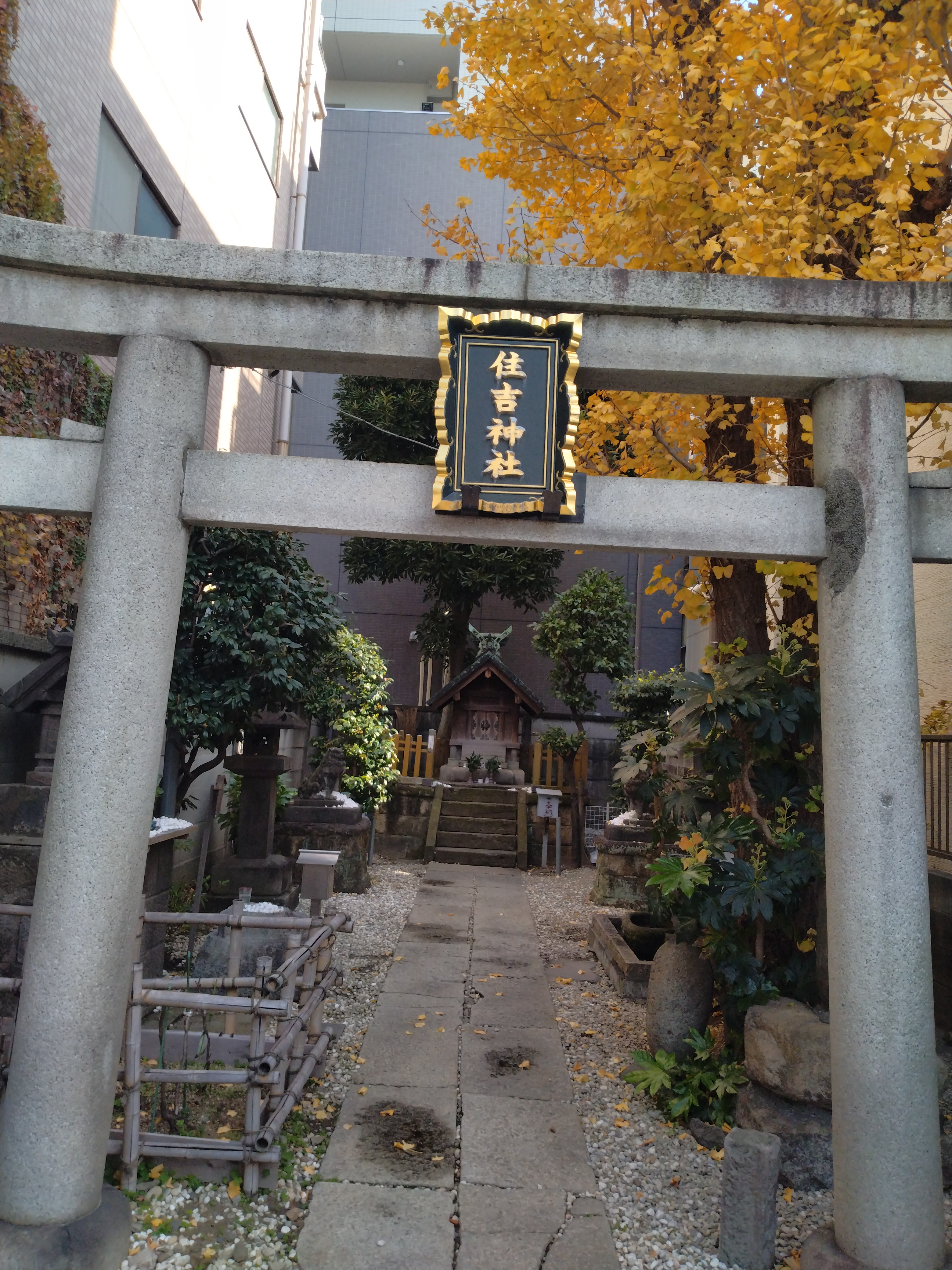 鳥居と奥の祠が並ぶ境内風景