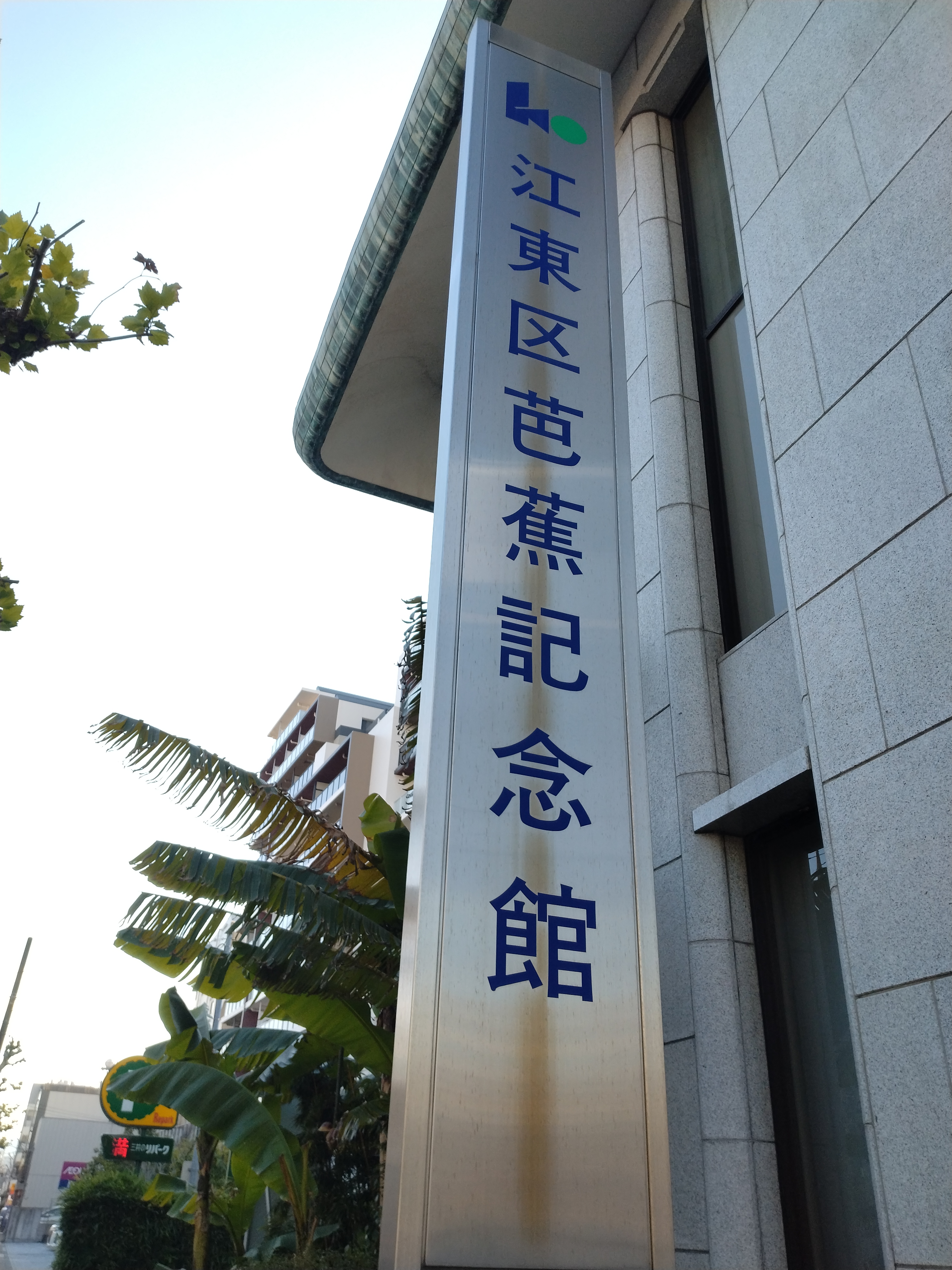 落ち着いた住宅街の道路