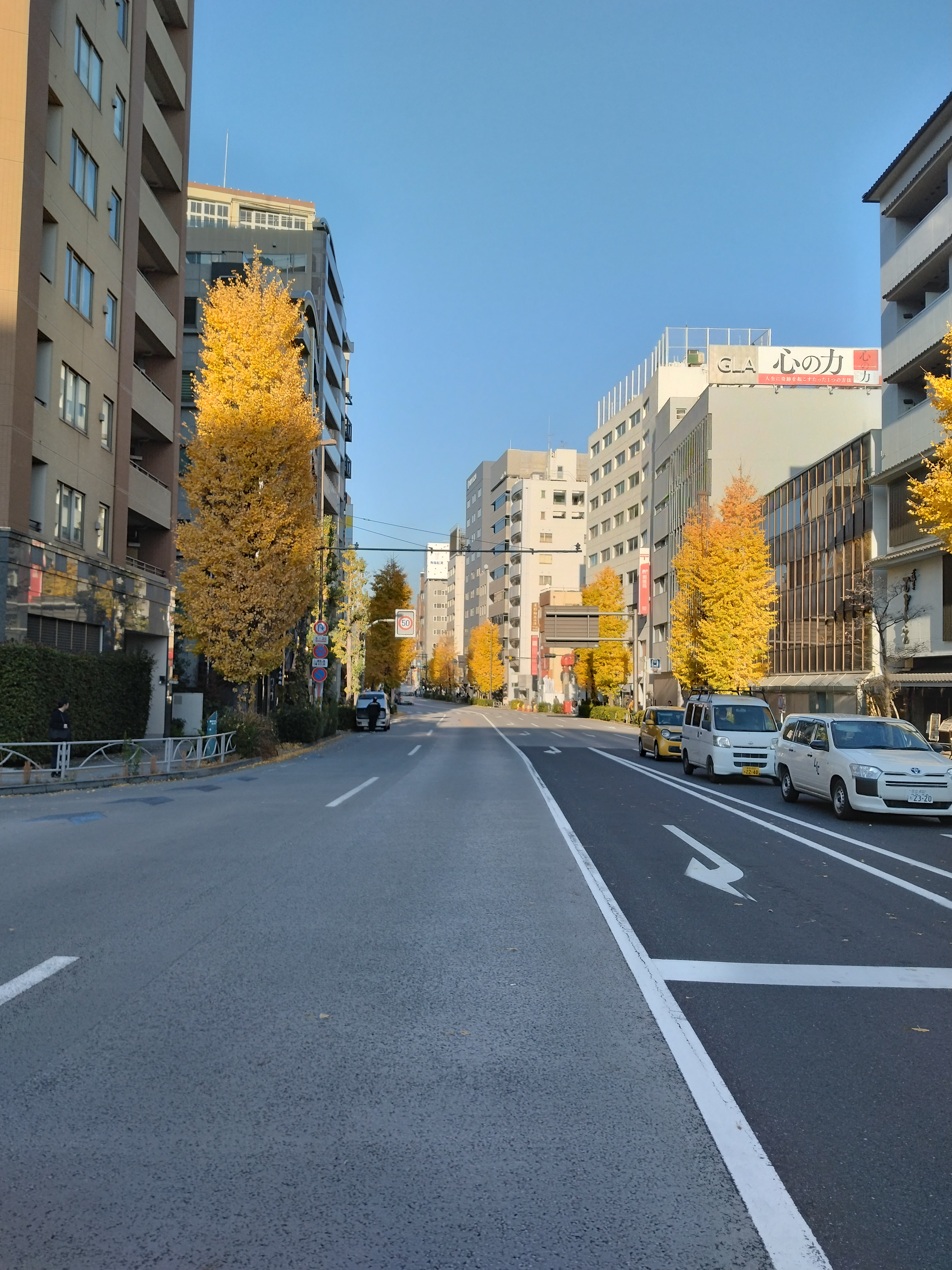 観光地近くの自然豊かな通り