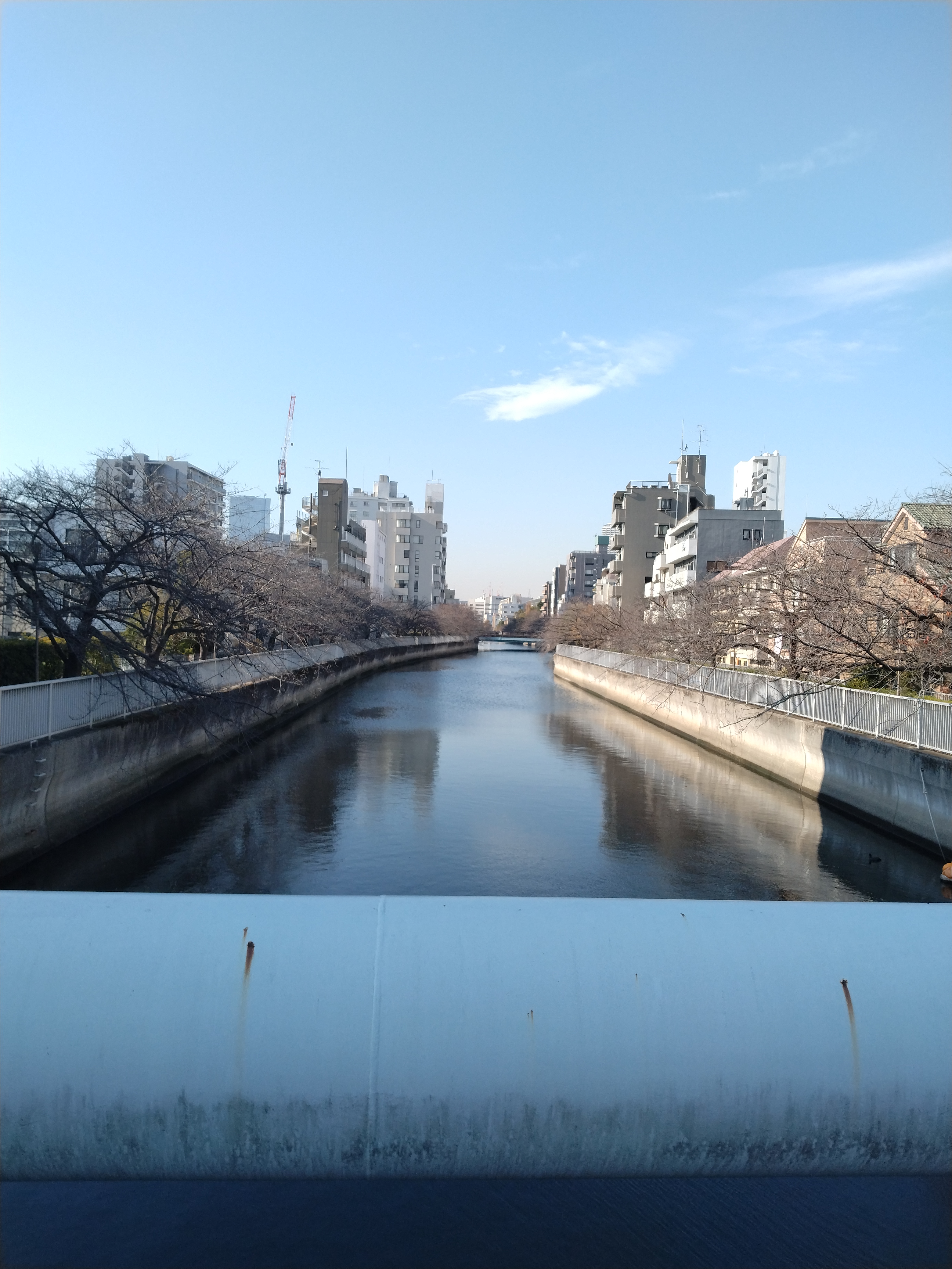小名木川の水辺