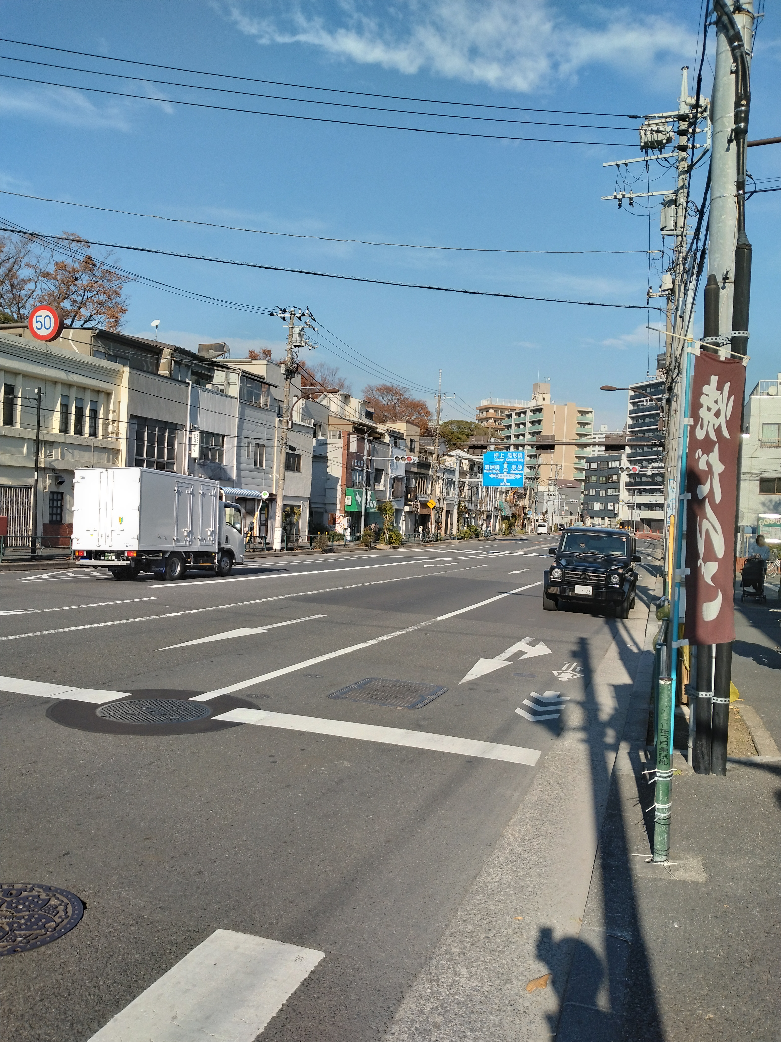 横断歩道と並木
