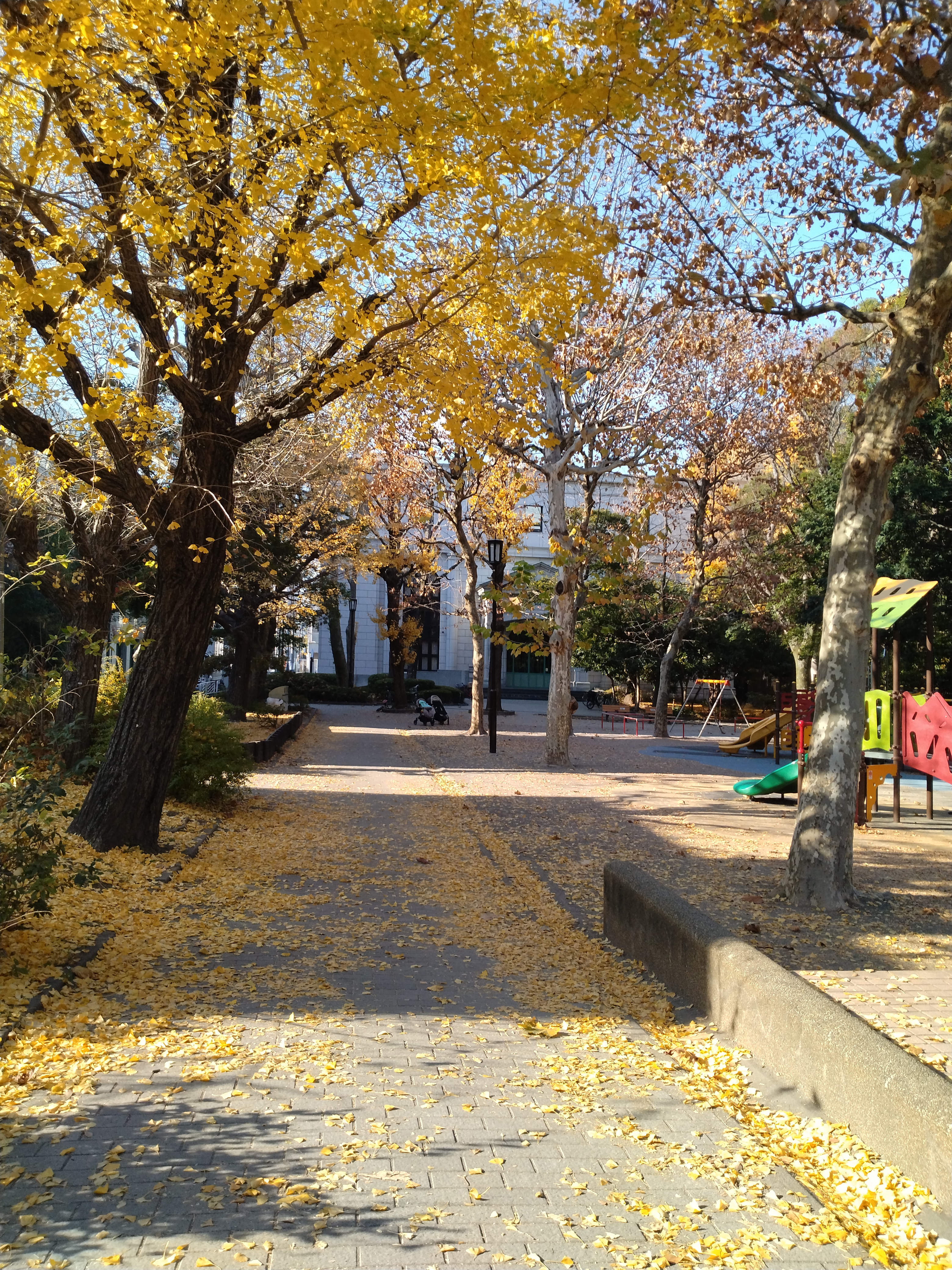 庭園近くの秋景色