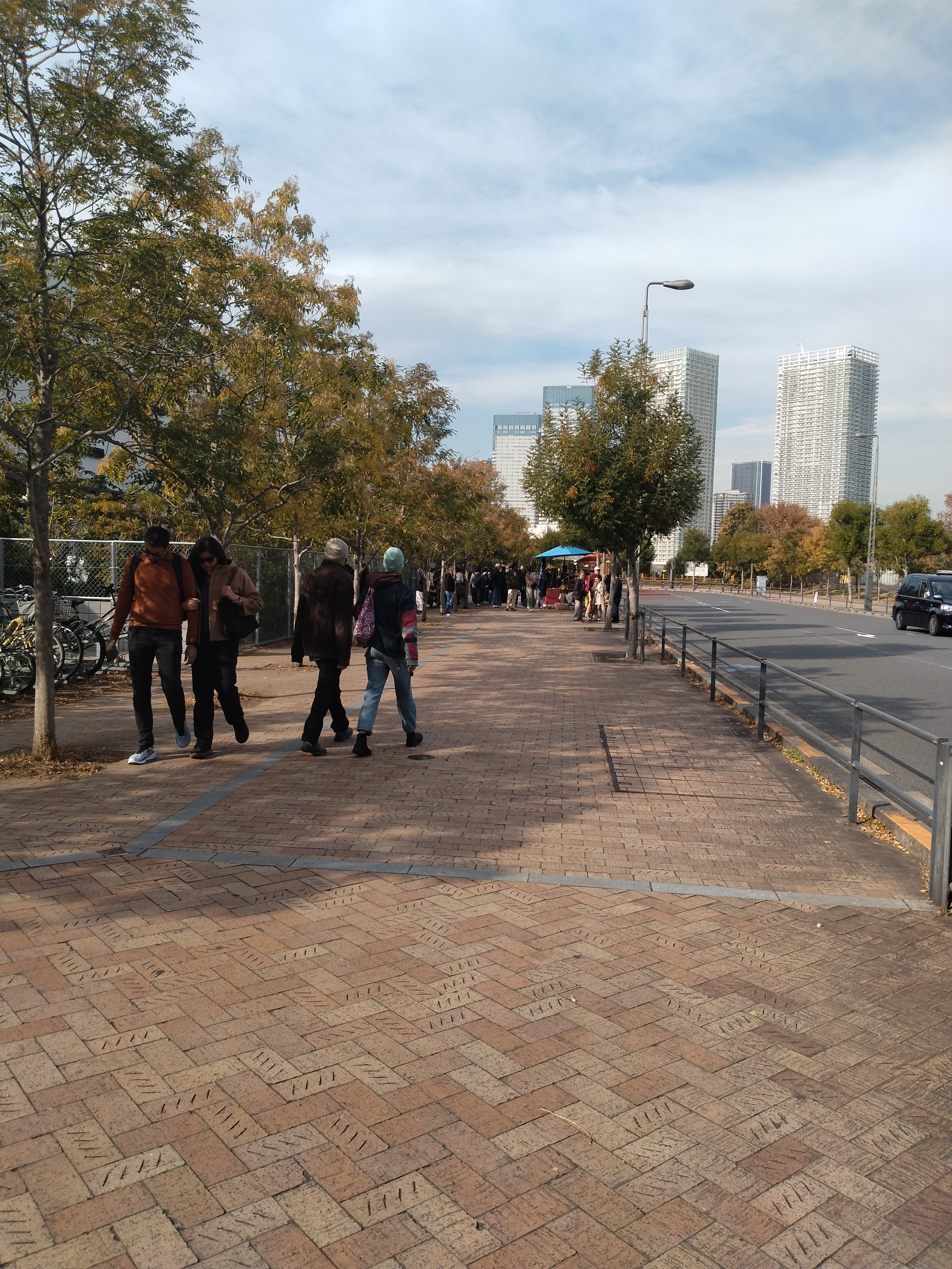 公園内の並木道