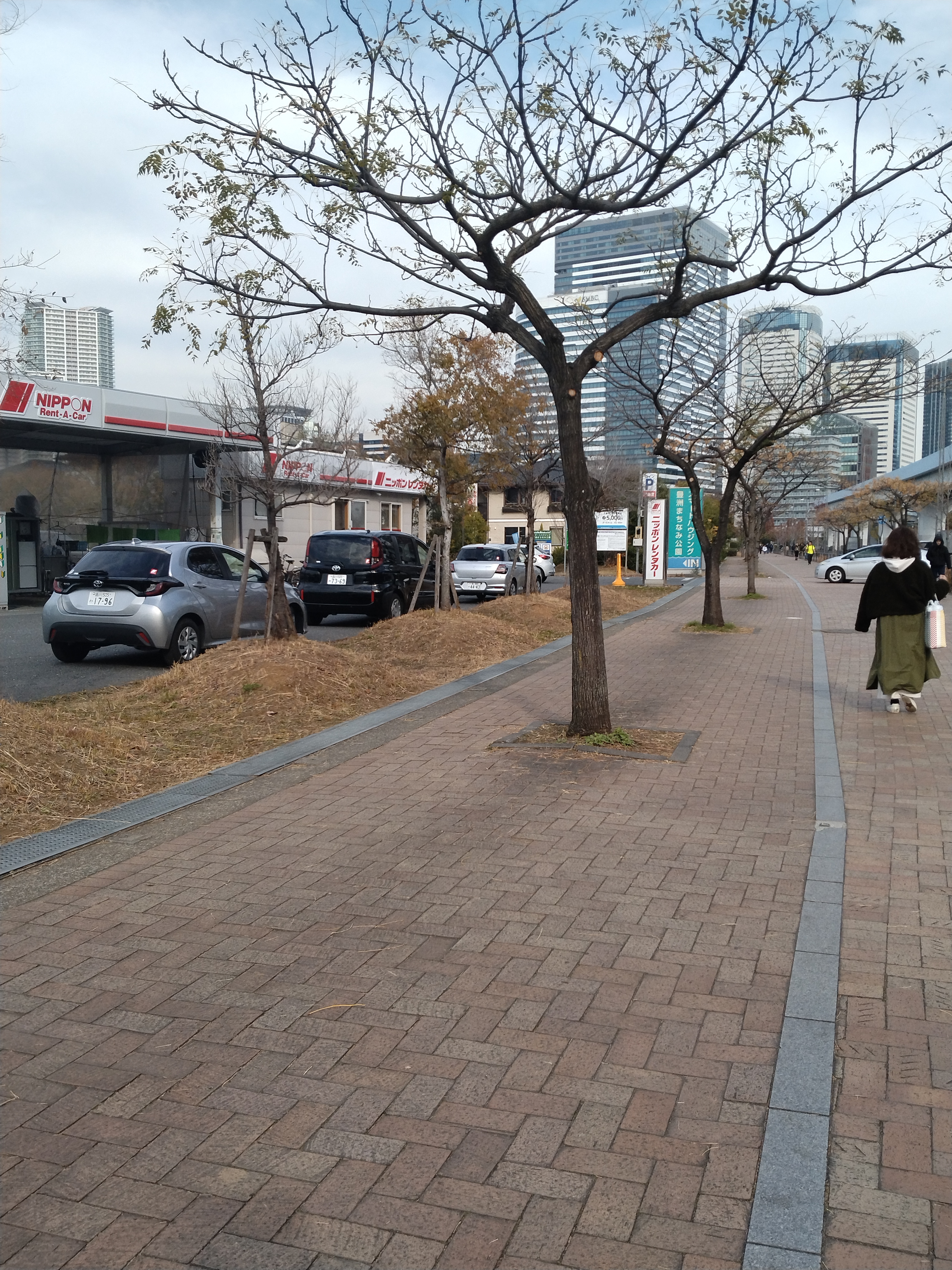 歩道越しに見える豊洲の街並み