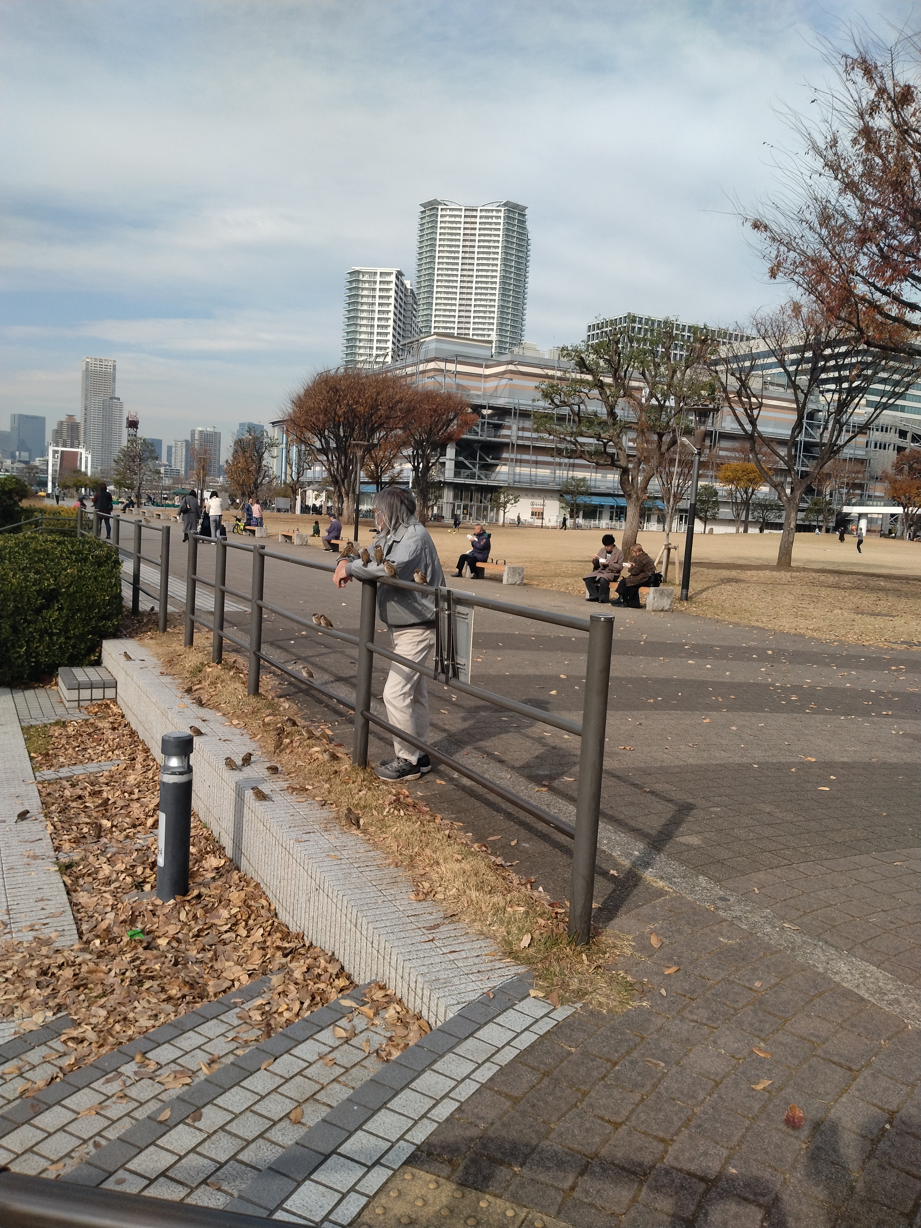 ベンチと植栽が続く道
