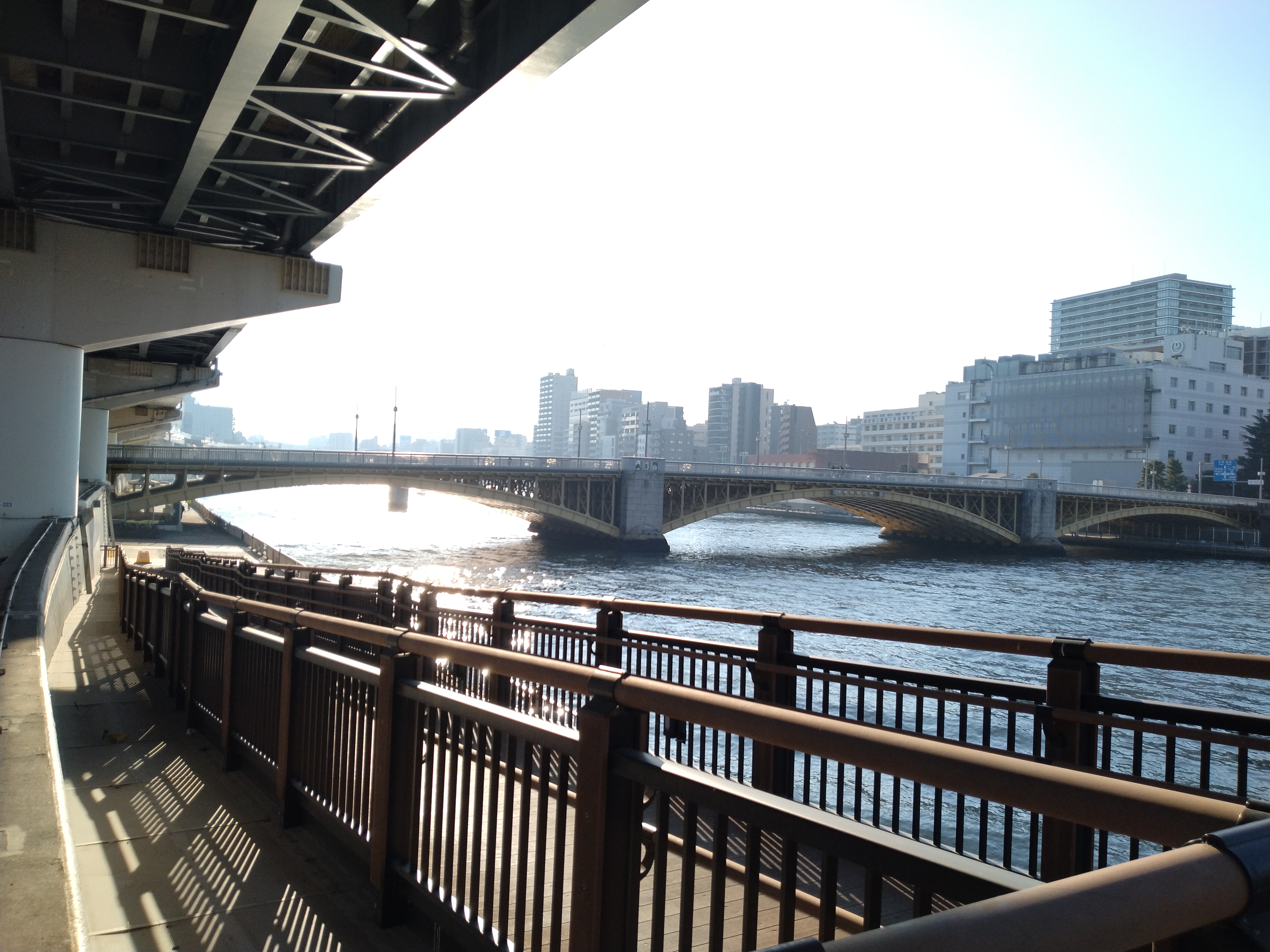川面が輝く夕方の遊歩道
