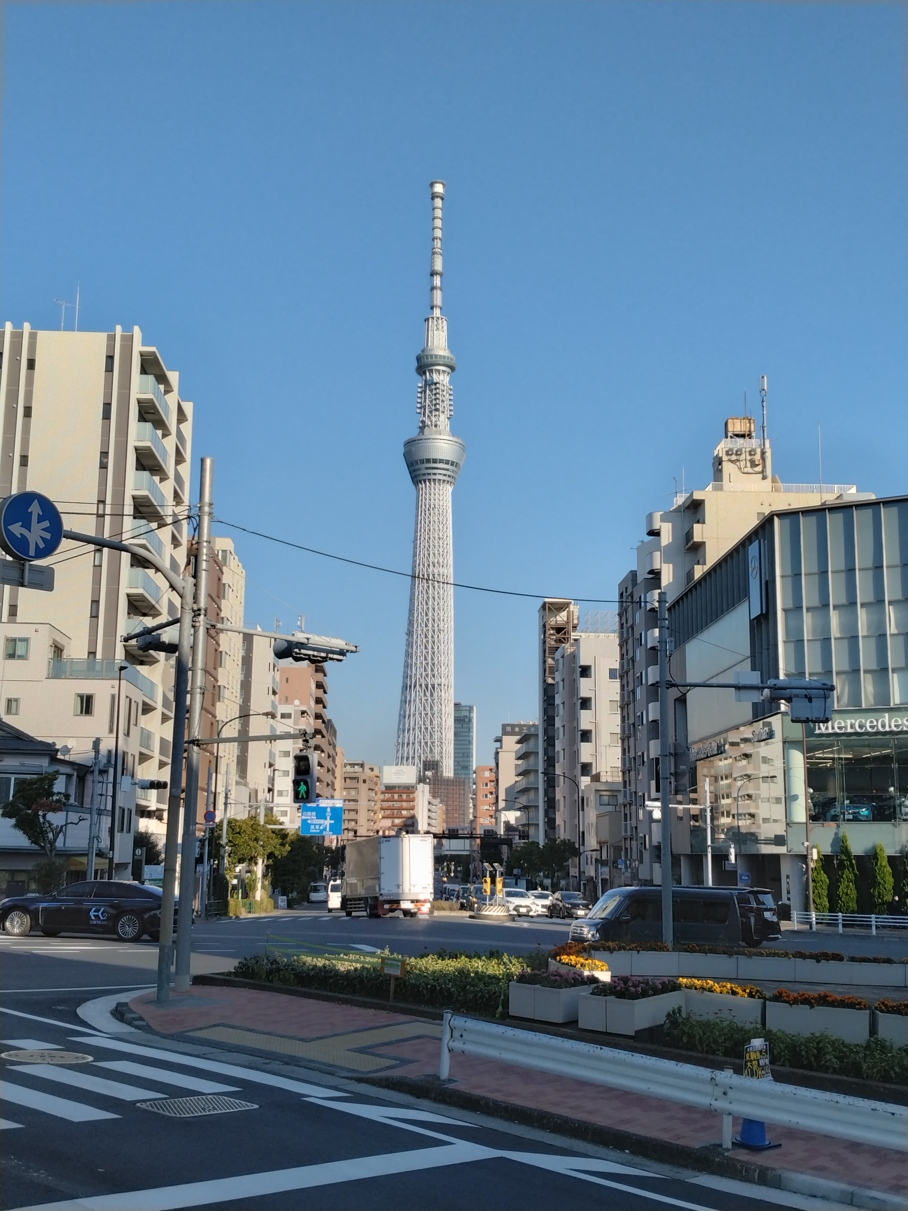 スカイツリーと市街地