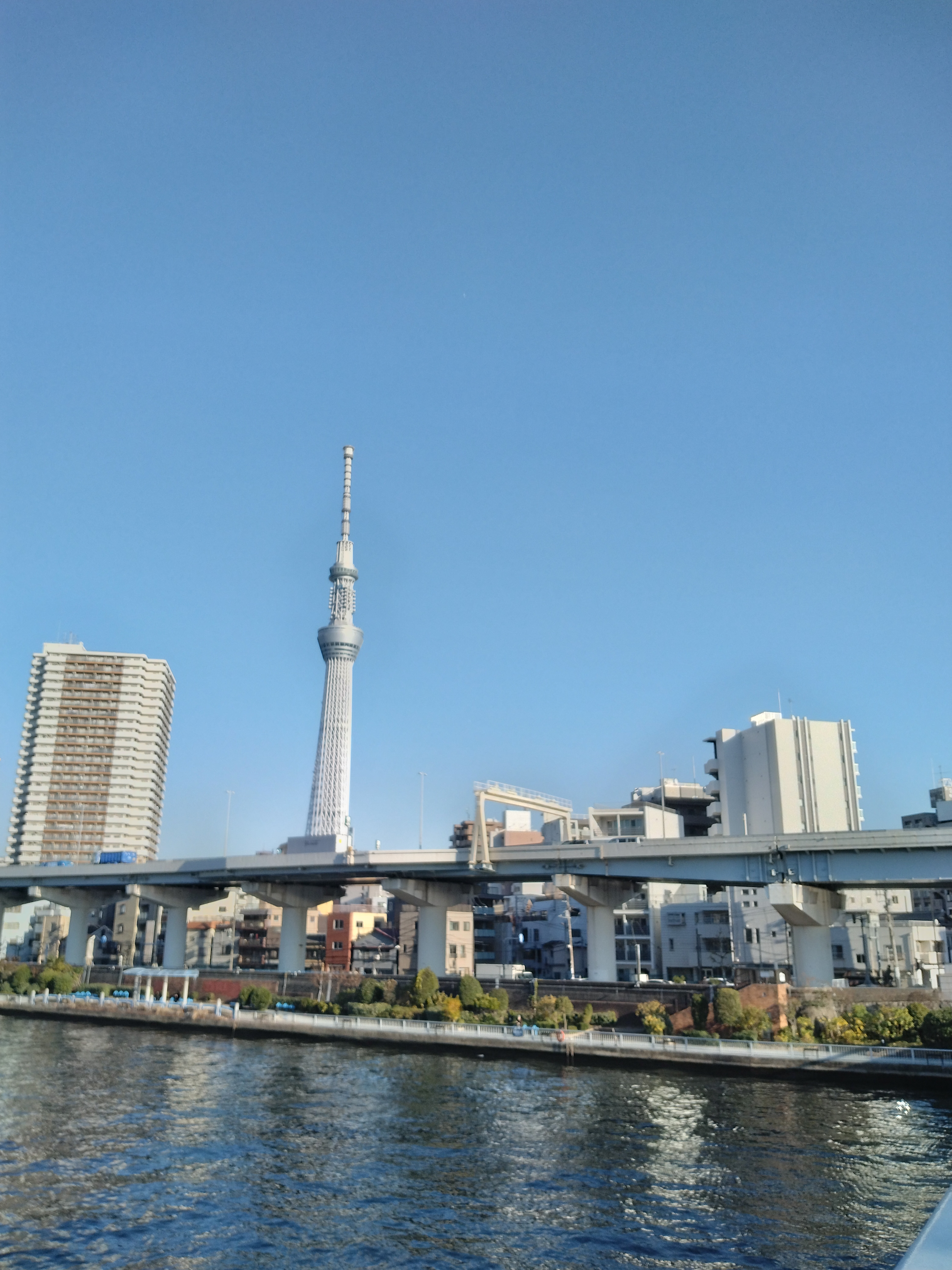 川辺から見上げるランドマーク
